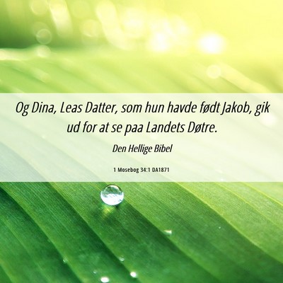 Picture 06 - 1 Mosebog 34:1 DA1871 - Og Dina, Leas Datter, som hun havde født Jakob, - Bible Verse Picture