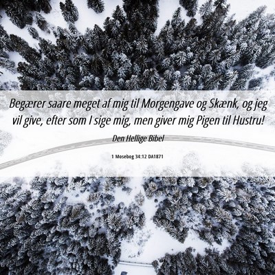 Picture 06 - 1 Mosebog 34:12 DA1871 - Begærer saare meget af mig til Morgengave og - Bible Verse Picture