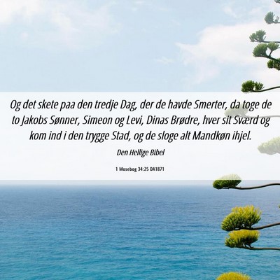 Picture 06 - 1 Mosebog 34:25 DA1871 - Og det skete paa den tredje Dag, der de havde - Bible Verse Picture
