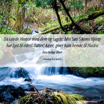 Picture 06 - 1 Mosebog 34:8 DA1871 - Da talede Hemor med dem og sagde: Min Søn Sikems - Bible Verse Picture