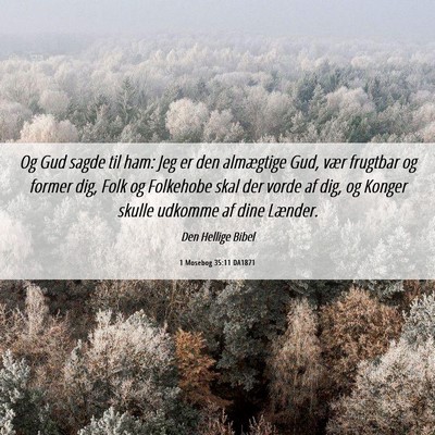 Picture 06 - 1 Mosebog 35:11 DA1871 - Og Gud sagde til ham: Jeg er den almægtige Gud, - Bible Verse Picture