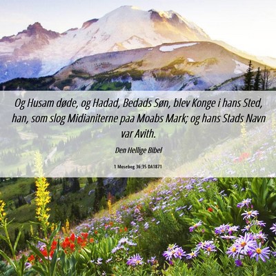 Picture 06 - 1 Mosebog 36:35 DA1871 - Og Husam døde, og Hadad, Bedads Søn, blev Konge - Bible Verse Picture