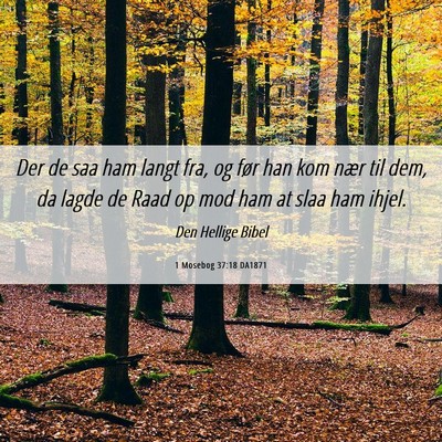 Picture 06 - 1 Mosebog 37:18 DA1871 - Der de saa ham langt fra, og før han kom nær - Bible Verse Picture