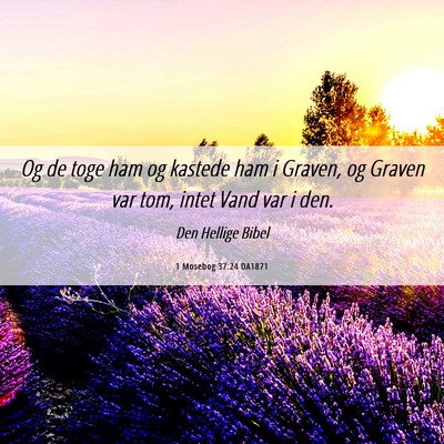 Picture 06 - 1 Mosebog 37:24 DA1871 - Og de toge ham og kastede ham i Graven, og Graven - Bible Verse Picture