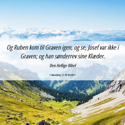 Picture 06 - 1 Mosebog 37:29 DA1871 - Og Ruben kom til Graven igen, og se, Josef var - Bible Verse Picture