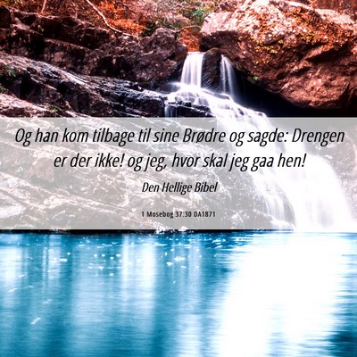 Picture 06 - 1 Mosebog 37:30 DA1871 - Og han kom tilbage til sine Brødre og sagde: - Bible Verse Picture