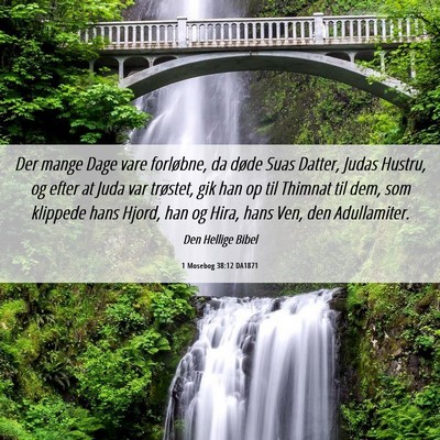 Picture 06 - 1 Mosebog 38:12 DA1871 - Der mange Dage vare forløbne, da døde Suas - Bible Verse Picture