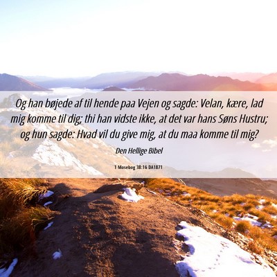 Picture 06 - 1 Mosebog 38:16 DA1871 - Og han bøjede af til hende paa Vejen og sagde: - Bible Verse Picture