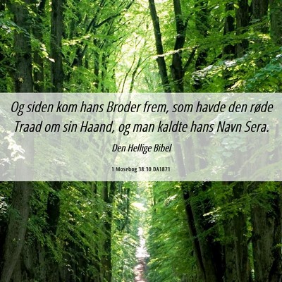 Picture 06 - 1 Mosebog 38:30 DA1871 - Og siden kom hans Broder frem, som havde den - Bible Verse Picture