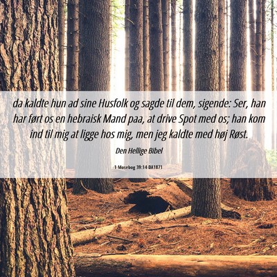 Picture 06 - 1 Mosebog 39:14 DA1871 - da kaldte hun ad sine Husfolk og sagde til dem, - Bible Verse Picture
