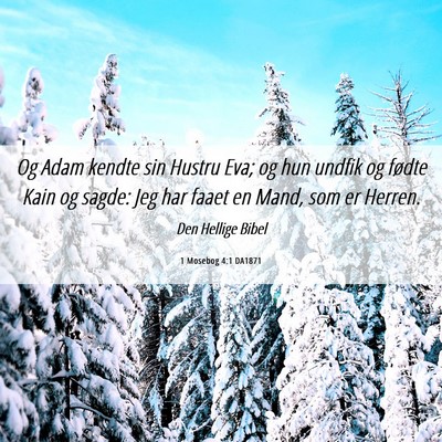 Picture 06 - 1 Mosebog 4:1 DA1871 - Og Adam kendte sin Hustru Eva; og hun undfik og - Bible Verse Picture