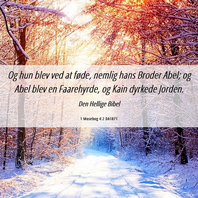 Picture 06 - 1 Mosebog 4:2 DA1871 - Og hun blev ved at føde, nemlig hans Broder - Bible Verse Picture