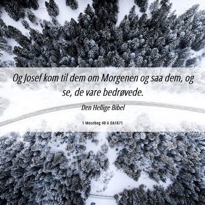 Picture 06 - 1 Mosebog 40:6 DA1871 - Og Josef kom til dem om Morgenen og saa dem, og - Bible Verse Picture