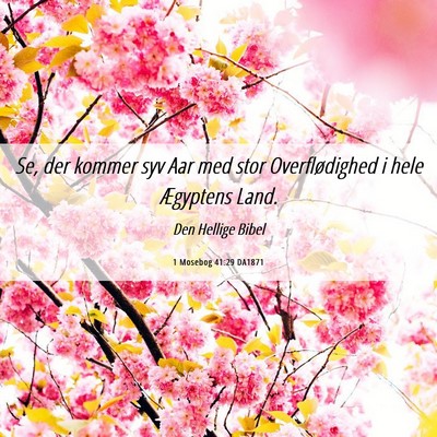 Picture 06 - 1 Mosebog 41:29 DA1871 - Se, der kommer syv Aar med stor Overflødighed i - Bible Verse Picture