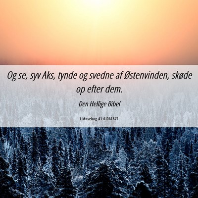 Picture 06 - 1 Mosebog 41:6 DA1871 - Og se, syv Aks, tynde og svedne af Østenvinden, - Bible Verse Picture