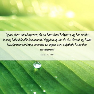 Picture 06 - 1 Mosebog 41:8 DA1871 - Og det skete om Morgenen, da var hans Aand - Bible Verse Picture