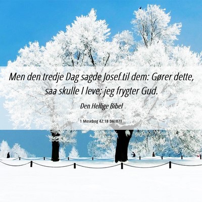 Picture 06 - 1 Mosebog 42:18 DA1871 - Men den tredje Dag sagde Josef til dem: Gører - Bible Verse Picture