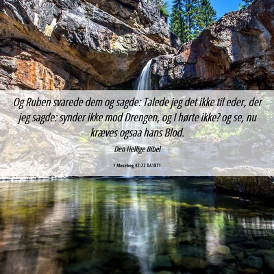Picture 06 - 1 Mosebog 42:22 DA1871 - Og Ruben svarede dem og sagde: Talede jeg det - Bible Verse Picture
