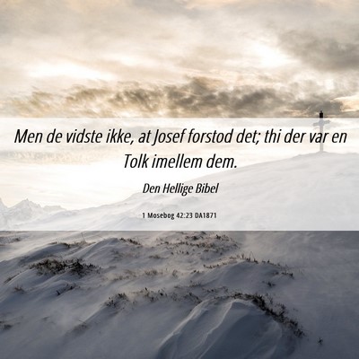 Picture 06 - 1 Mosebog 42:23 DA1871 - Men de vidste ikke, at Josef forstod det; thi der - Bible Verse Picture