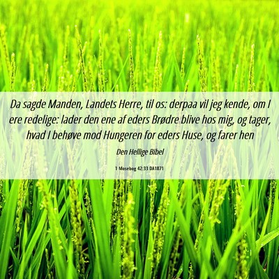 Picture 06 - 1 Mosebog 42:33 DA1871 - Da sagde Manden, Landets Herre, til os: derpaa - Bible Verse Picture