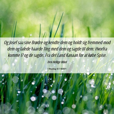 Picture 06 - 1 Mosebog 42:7 DA1871 - Og Josef saa sine Brødre og kendte dem og holdt - Bible Verse Picture