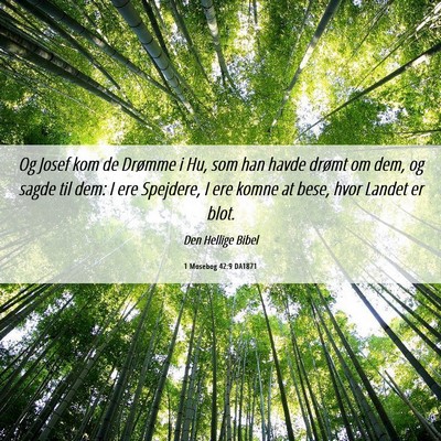 Picture 06 - 1 Mosebog 42:9 DA1871 - Og Josef kom de Drømme i Hu, som han havde - Bible Verse Picture