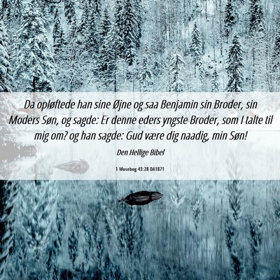 Picture 06 - 1 Mosebog 43:28 DA1871 - Da opløftede han sine Øjne og saa Benjamin sin - Bible Verse Picture