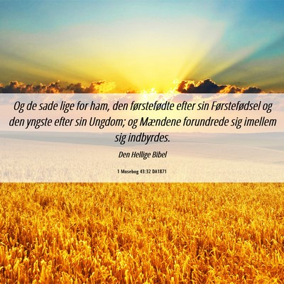 Picture 06 - 1 Mosebog 43:32 DA1871 - Og de sade lige for ham, den førstefødte efter - Bible Verse Picture
