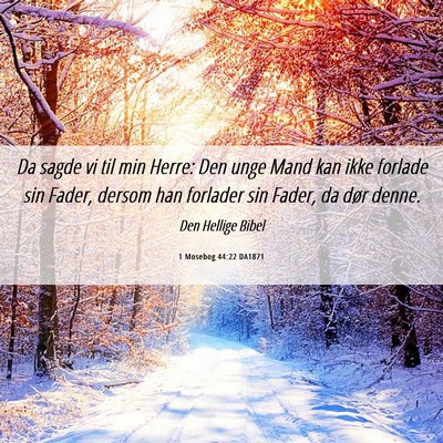 Picture 06 - 1 Mosebog 44:22 DA1871 - Da sagde vi til min Herre: Den unge Mand kan ikke - Bible Verse Picture