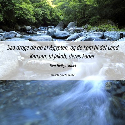 Picture 06 - 1 Mosebog 45:25 DA1871 - Saa droge de op af Ægypten, og de kom til det - Bible Verse Picture