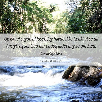 Picture 06 - 1 Mosebog 48:11 DA1871 - Og Israel sagde til Josef: Jeg havde ikke tænkt - Bible Verse Picture