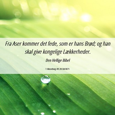 Picture 06 - 1 Mosebog 49:20 DA1871 - Fra Aser kommer det fede, som er hans Brød; og - Bible Verse Picture