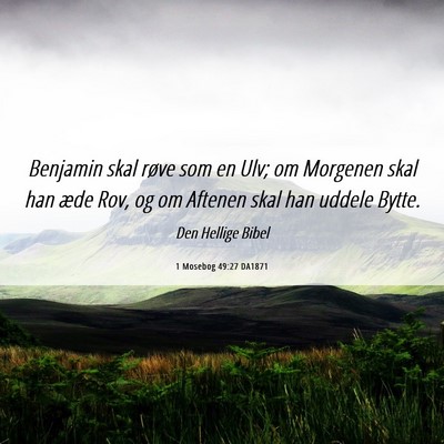 Picture 06 - 1 Mosebog 49:27 DA1871 - Benjamin skal røve som en Ulv; om Morgenen skal - Bible Verse Picture