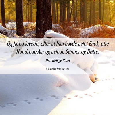 Picture 06 - 1 Mosebog 5:19 DA1871 - Og Jared levede, efter at han havde avlet Enok, - Bible Verse Picture