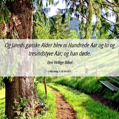 Picture 06 - 1 Mosebog 5:20 DA1871 - Og Jareds ganske Alder blev ni Hundrede Aar og to - Bible Verse Picture