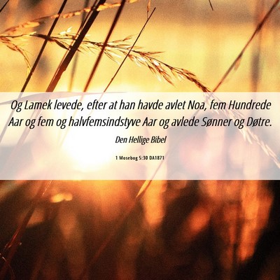 Picture 06 - 1 Mosebog 5:30 DA1871 - Og Lamek levede, efter at han havde avlet Noa, - Bible Verse Picture