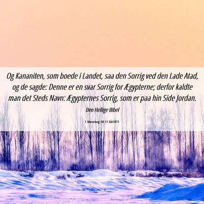 Picture 06 - 1 Mosebog 50:11 DA1871 - Og Kananiten, som boede i Landet, saa den Sorrig - Bible Verse Picture