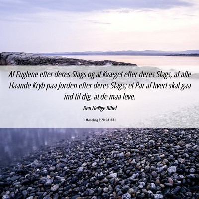 Picture 06 - 1 Mosebog 6:20 DA1871 - Af Fuglene efter deres Slags og af Kvæget efter - Bible Verse Picture