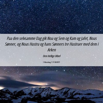 Picture 06 - 1 Mosebog 7:13 DA1871 - Paa den selvsamme Dag gik Noa og Sem og Kam og - Bible Verse Picture