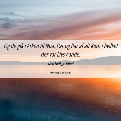 Picture 06 - 1 Mosebog 7:15 DA1871 - Og de gik i Arken til Noa, Par og Par af alt - Bible Verse Picture