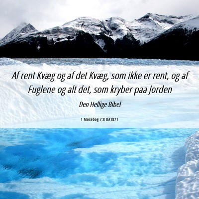 Picture 06 - 1 Mosebog 7:8 DA1871 - Af rent Kvæg og af det Kvæg, som ikke er rent, - Bible Verse Picture