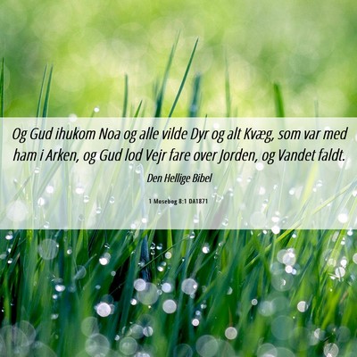 Picture 06 - 1 Mosebog 8:1 DA1871 - Og Gud ihukom Noa og alle vilde Dyr og alt Kvæg, - Bible Verse Picture