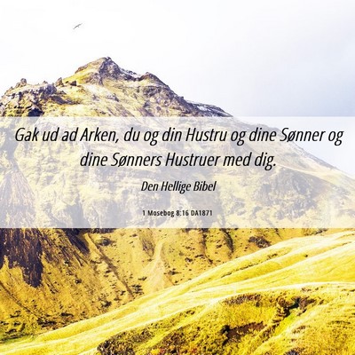 Picture 06 - 1 Mosebog 8:16 DA1871 - Gak ud ad Arken, du og din Hustru og dine Sønner - Bible Verse Picture