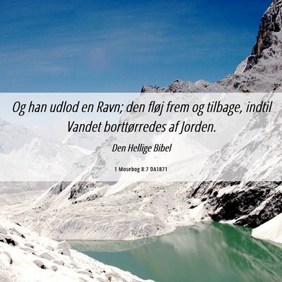 Picture 06 - 1 Mosebog 8:7 DA1871 - Og han udlod en Ravn; den fløj frem og tilbage, - Bible Verse Picture