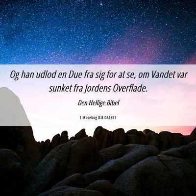 Picture 06 - 1 Mosebog 8:8 DA1871 - Og han udlod en Due fra sig for at se, om Vandet - Bible Verse Picture