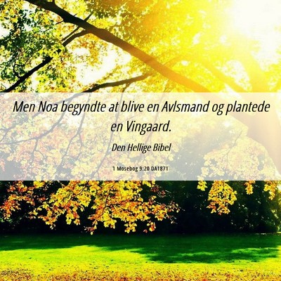 Picture 06 - 1 Mosebog 9:20 DA1871 - Men Noa begyndte at blive en Avlsmand og plantede - Bible Verse Picture