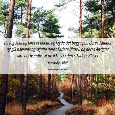 Picture 06 - 1 Mosebog 9:23 DA1871 - Da tog Sem og Jafet et Klæde og lagde det begge - Bible Verse Picture