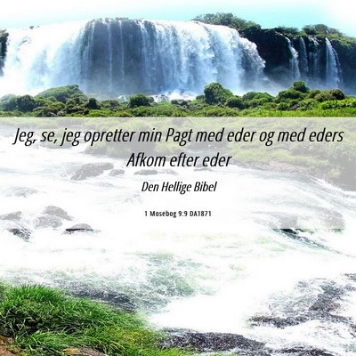 Picture 06 - 1 Mosebog 9:9 DA1871 - Jeg, se, jeg opretter min Pagt med eder og med - Bible Verse Picture
