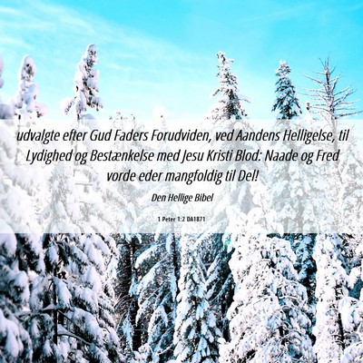 Picture 06 - 1 Peter 1:2 DA1871 - udvalgte efter Gud Faders Forudviden, ved Aandens - Bible Verse Picture