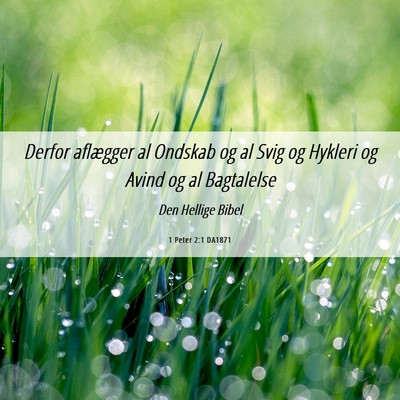 Picture 06 - 1 Peter 2:1 DA1871 - Derfor aflægger al Ondskab og al Svig og Hykleri - Bible Verse Picture